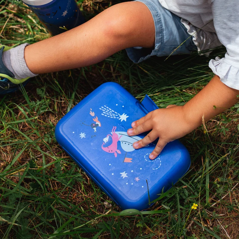 Lunchbox mit Trennschale CANDY L SPACE