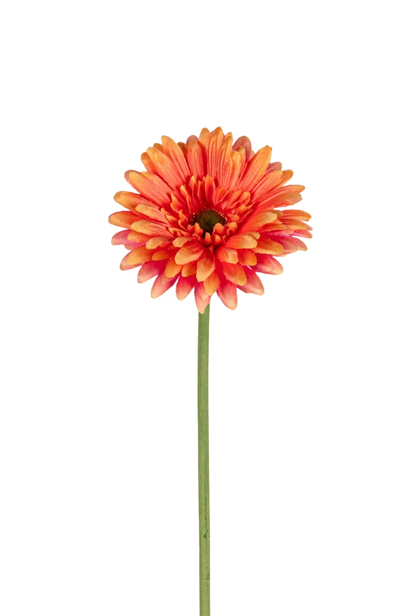 Gerbera l58cm korallenrot