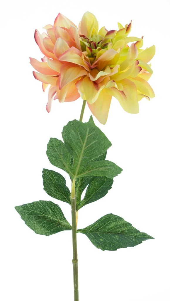 Dahlie Spray Farmer grün/rosa 64cm