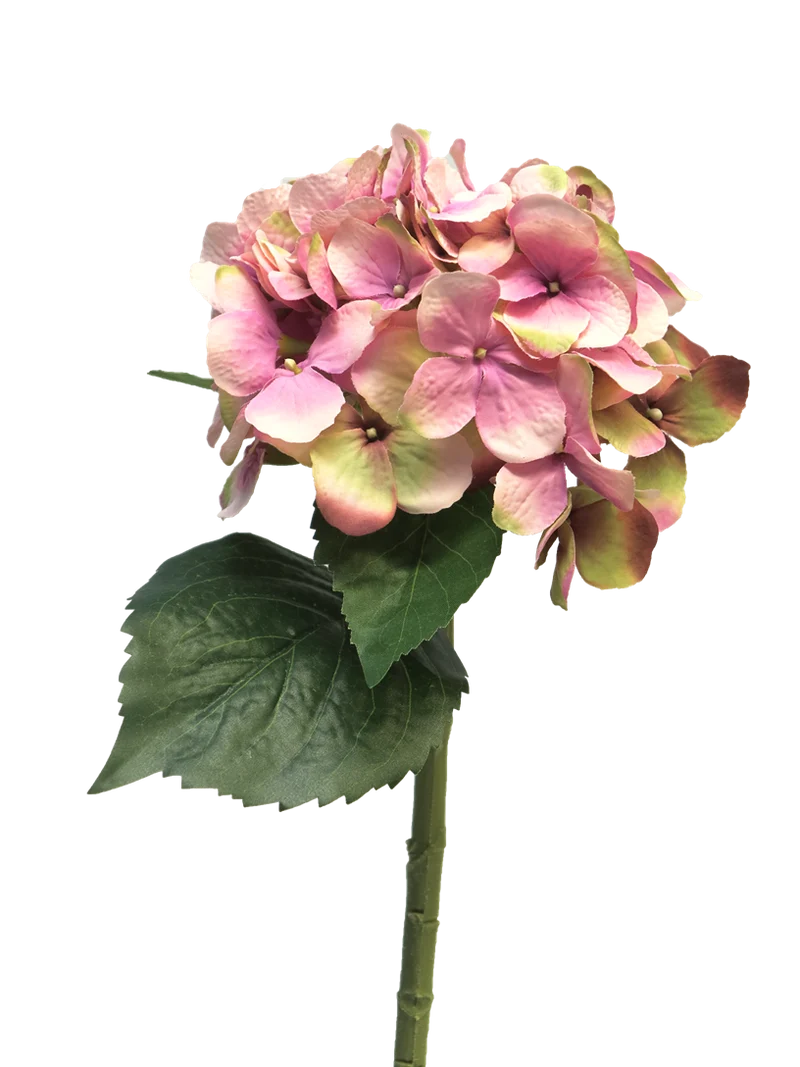 Hortensie Artist dk pink 48cm