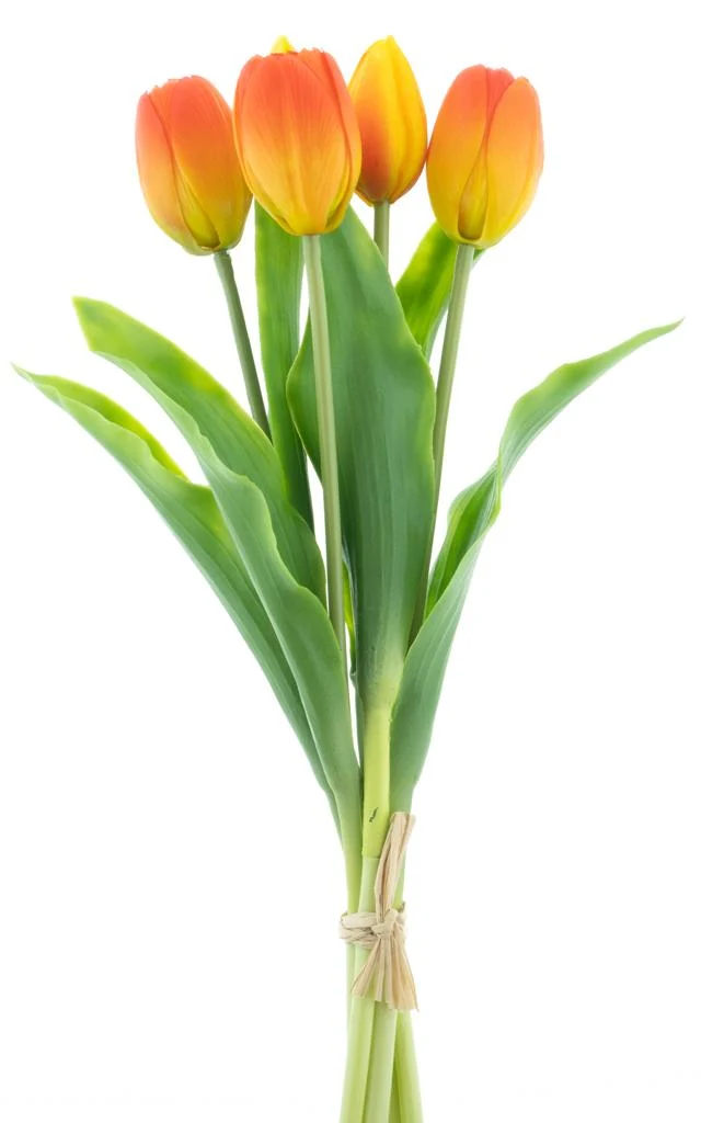 Real Touch Holland Tulpen-Set Sally X5 orange 36cm