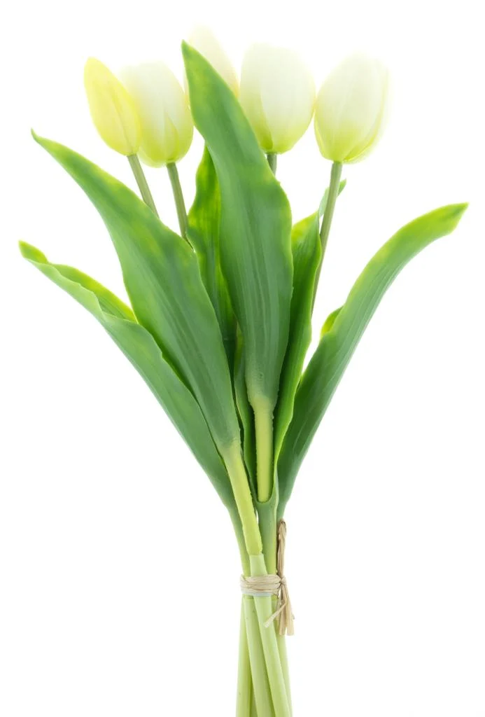 Real Touch Holland Tulpen-Set Sally X5 Creme 36cm