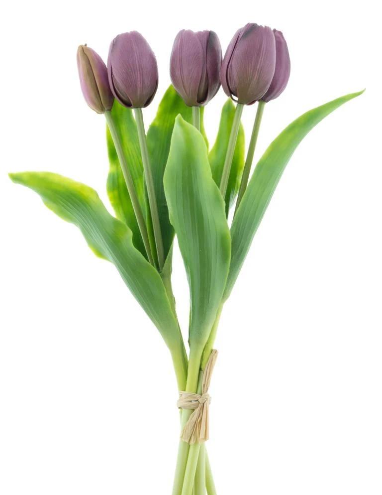 Real Touch Holland Tulpenstrauß Sally X5 Aubergine 36cm