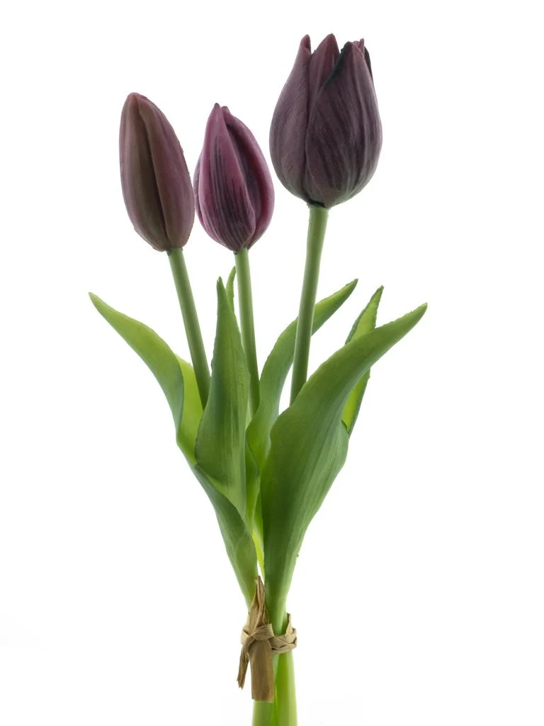 Real Touch Holland Tulpenstrauß Sally x3 Aubergine 25cm