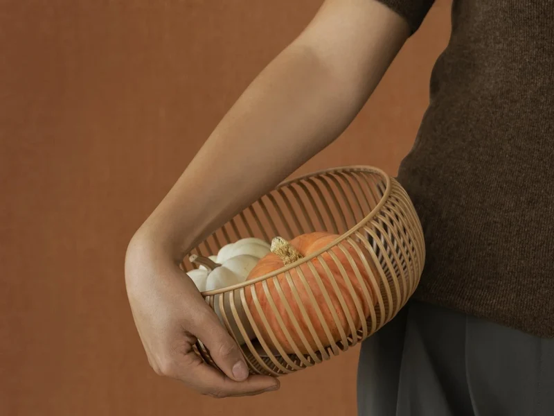 Blomus LITO Schale indian tan M 25cm