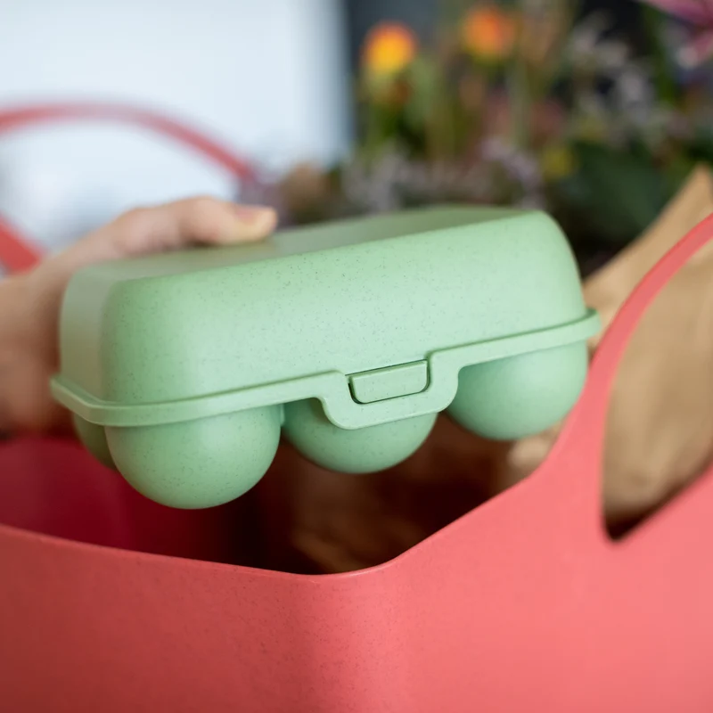 Eierbox EGGS TO GO MINI