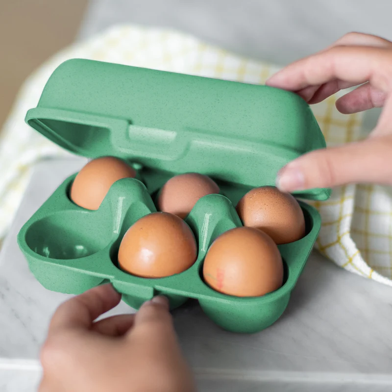 Eierbox EGGS TO GO MINI