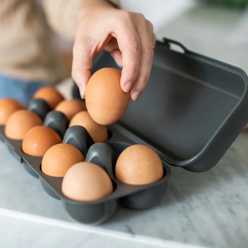 Eierbox EGGS TO GO
