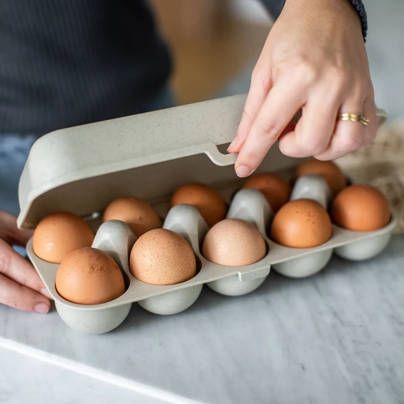 Eierbox EGGS TO GO