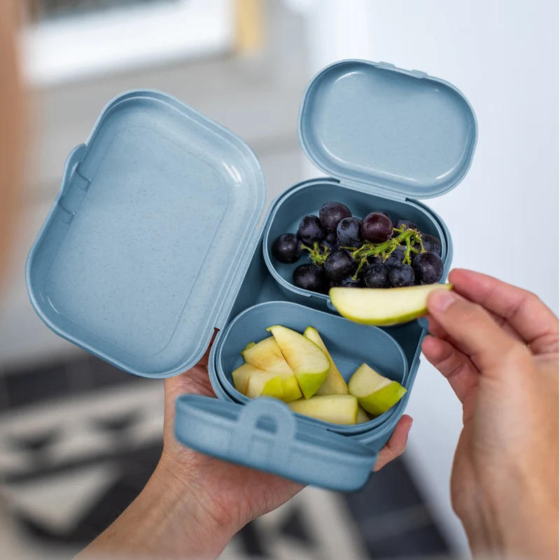 Lunchbox-Set PASCAL READY MINI