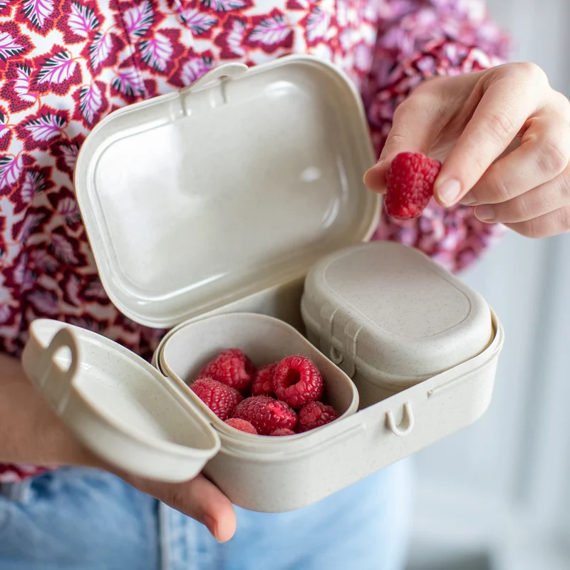 Lunchbox-Set PASCAL READY MINI