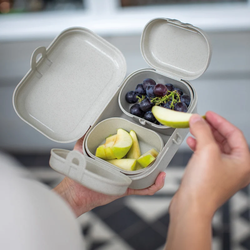 Lunchbox-Set PASCAL READY MINI