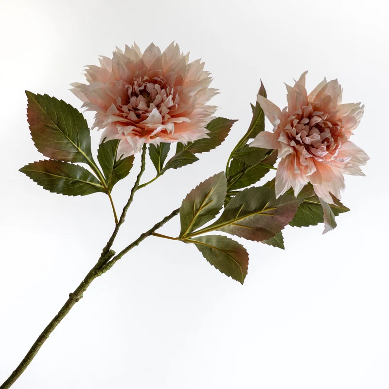 Dahlie Spray x2 Peach 100cm