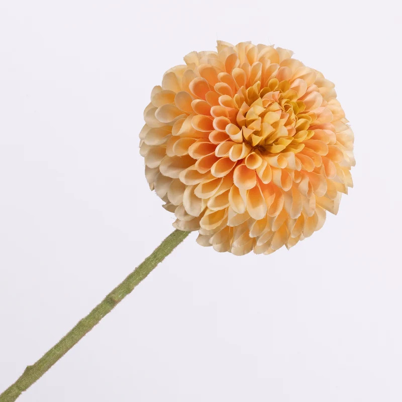 Dahlie Peach 64cm