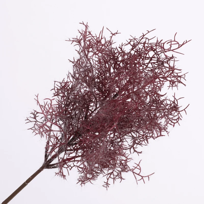 Cotinus Spray Rot 53cm