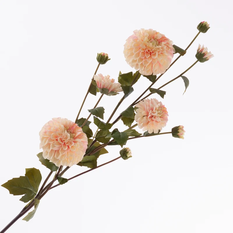 Dahlie Spray x4 Stiele 5 Knospen Rosa Hell 113cm