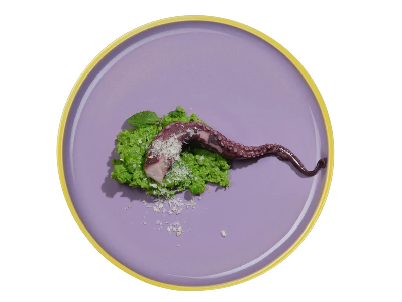 ASA tapero viva Speiseteller violeta 24cm