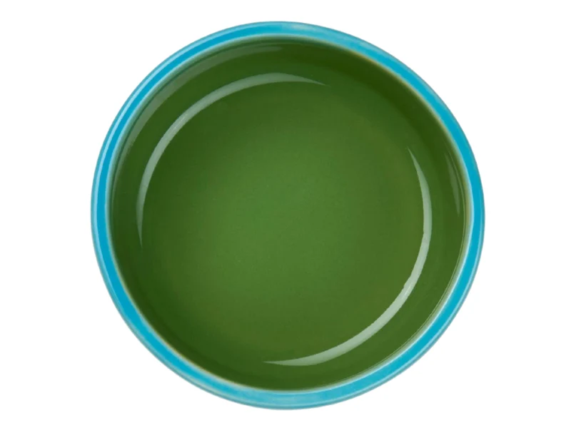 ASA tapero viva Schale verde 8cm