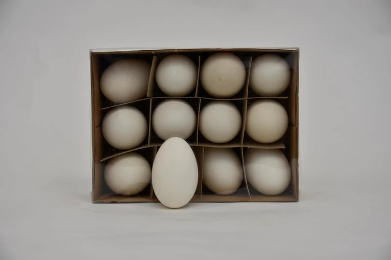 Schachtel mit 12 Gänseeiern Weiß