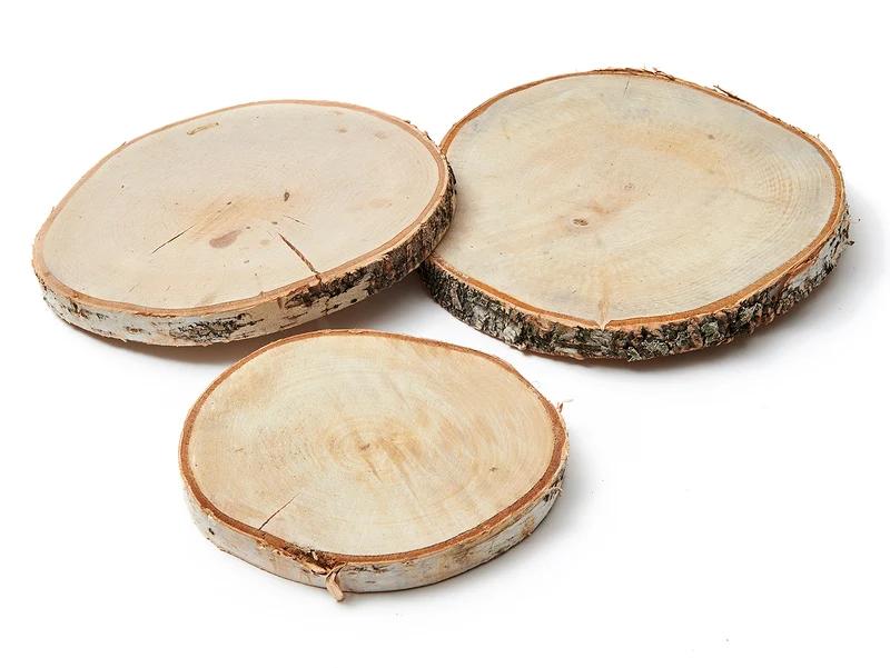 Netz mit 24 Birkenscheiben, 20 cm, natur