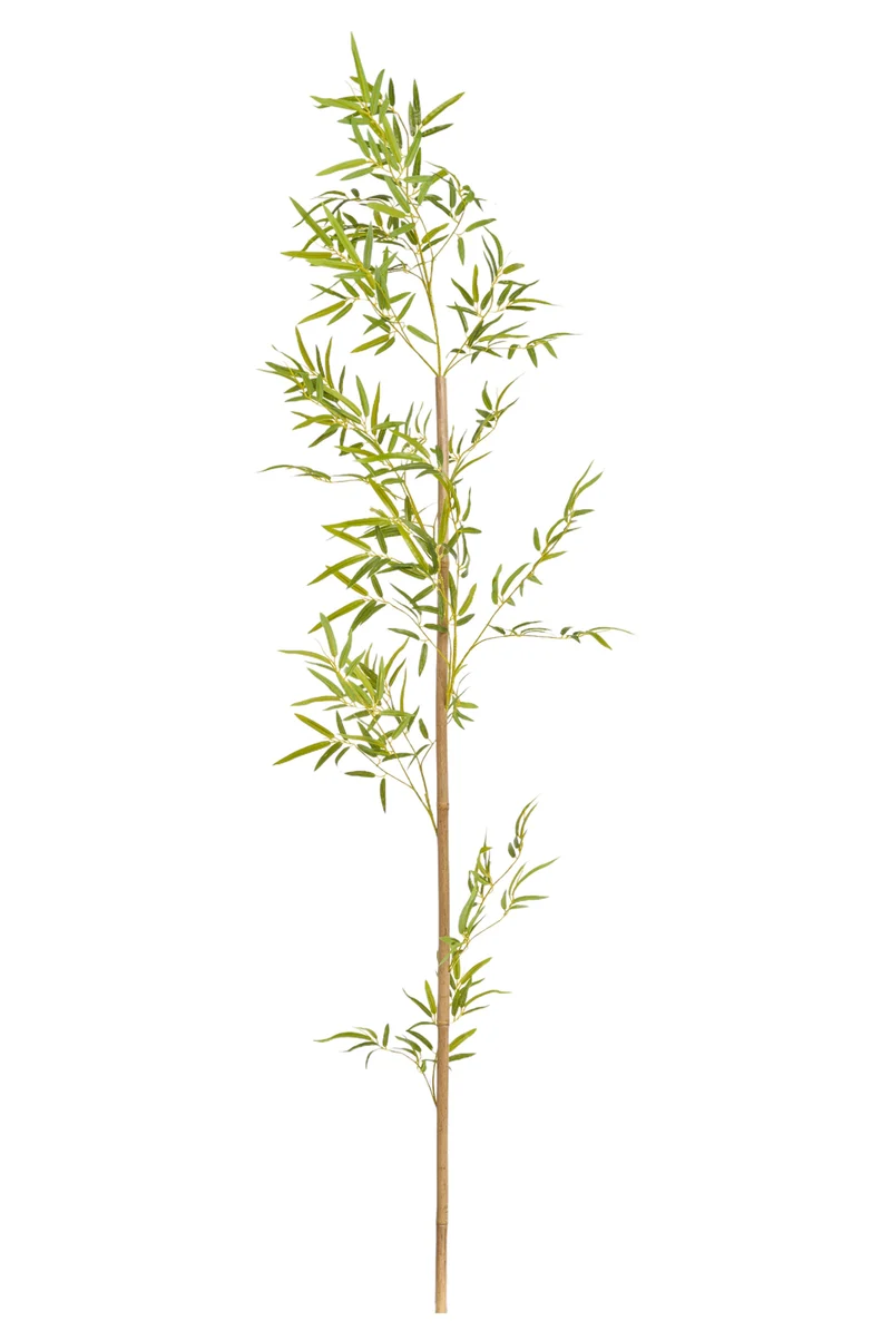 Bambuszweig 210cm