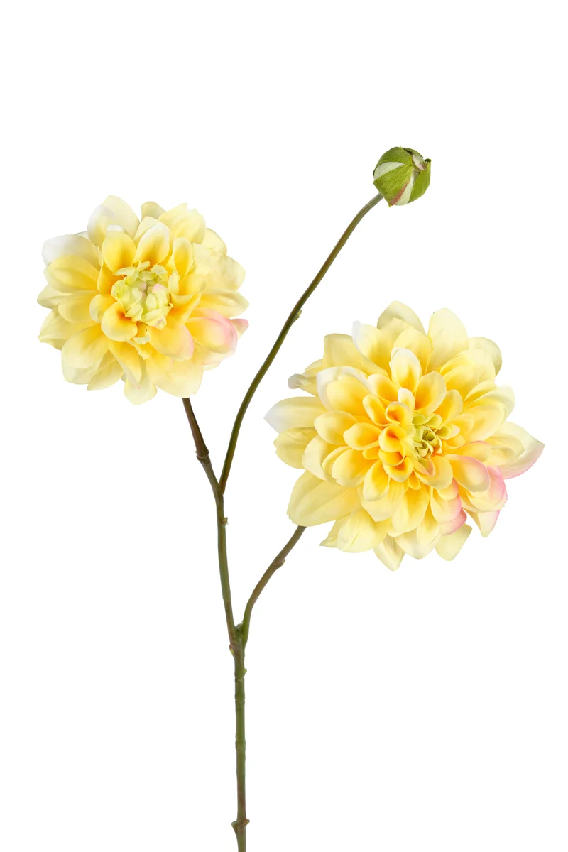 Dahlie L80cm gelb