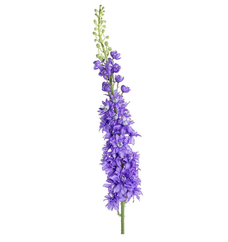 Delphinium XL L135cm lila