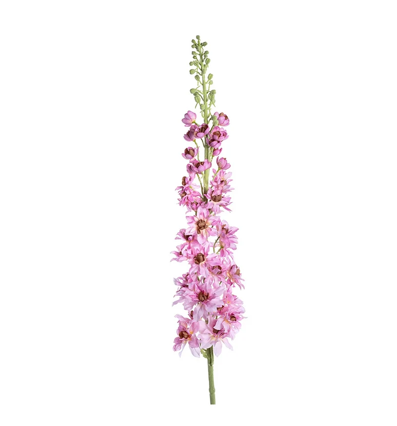 Rittersporn XL L135cm rosa