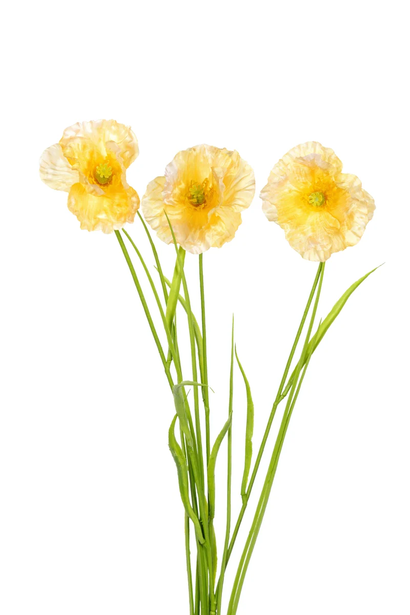 Mohn/Gras L70cm gelb