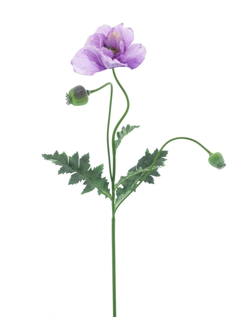 Mohnspray Casper Lavendel 93cm