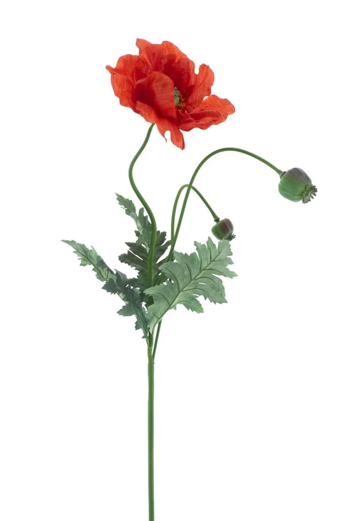 Mohnspray Casper rot 93cm