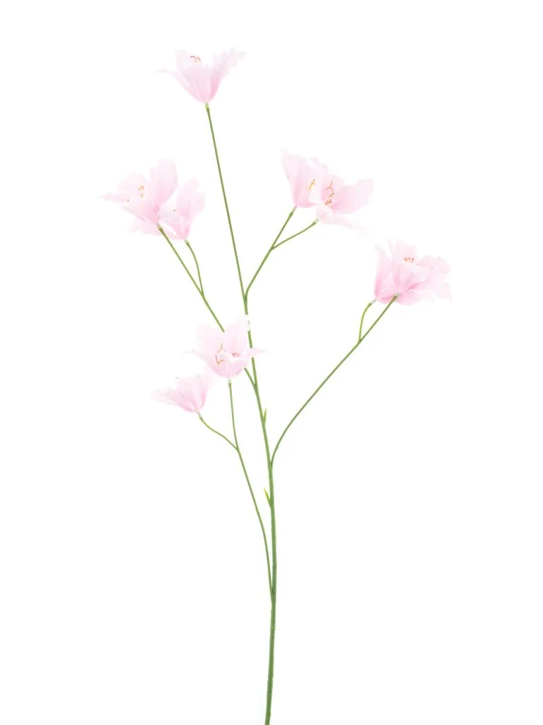Wilde Lilie Spray rosa 86cm