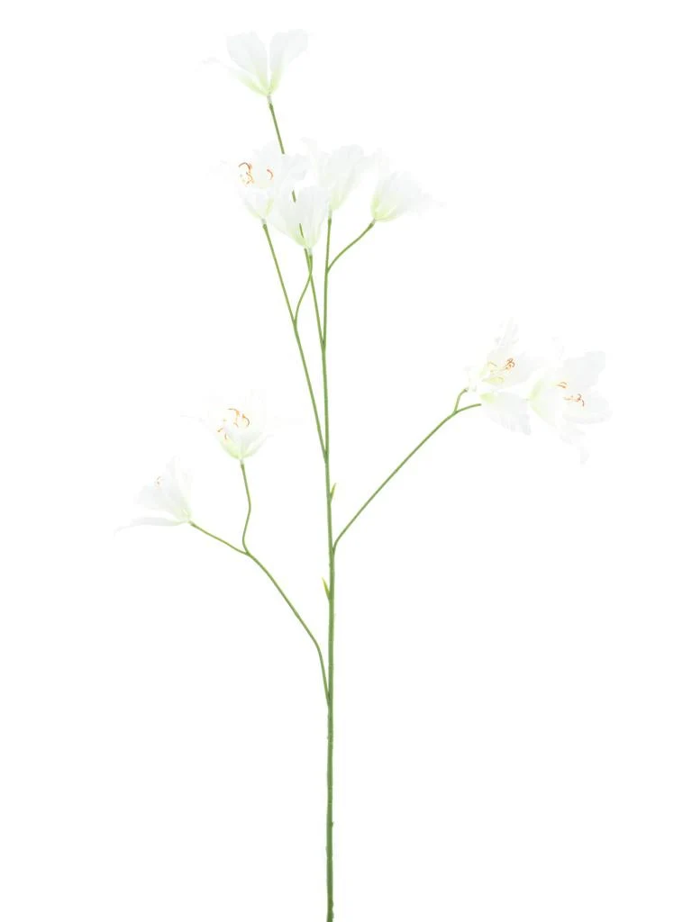 Wildlilie Spray Sahne 86cm