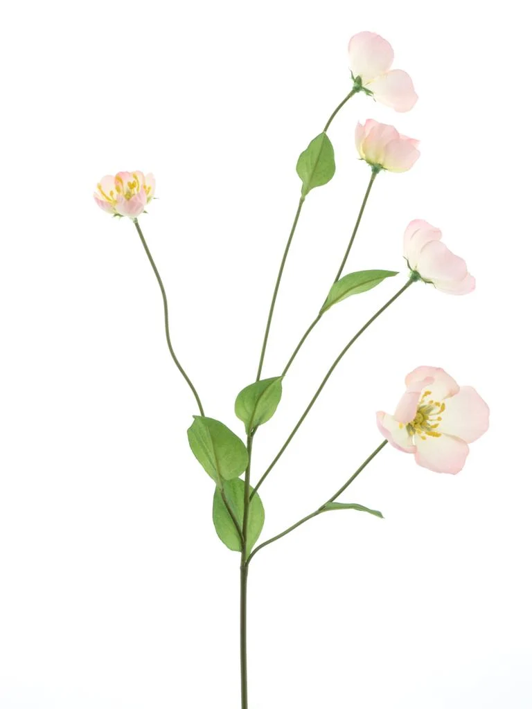 Melastoma Spray Pink 76cm
