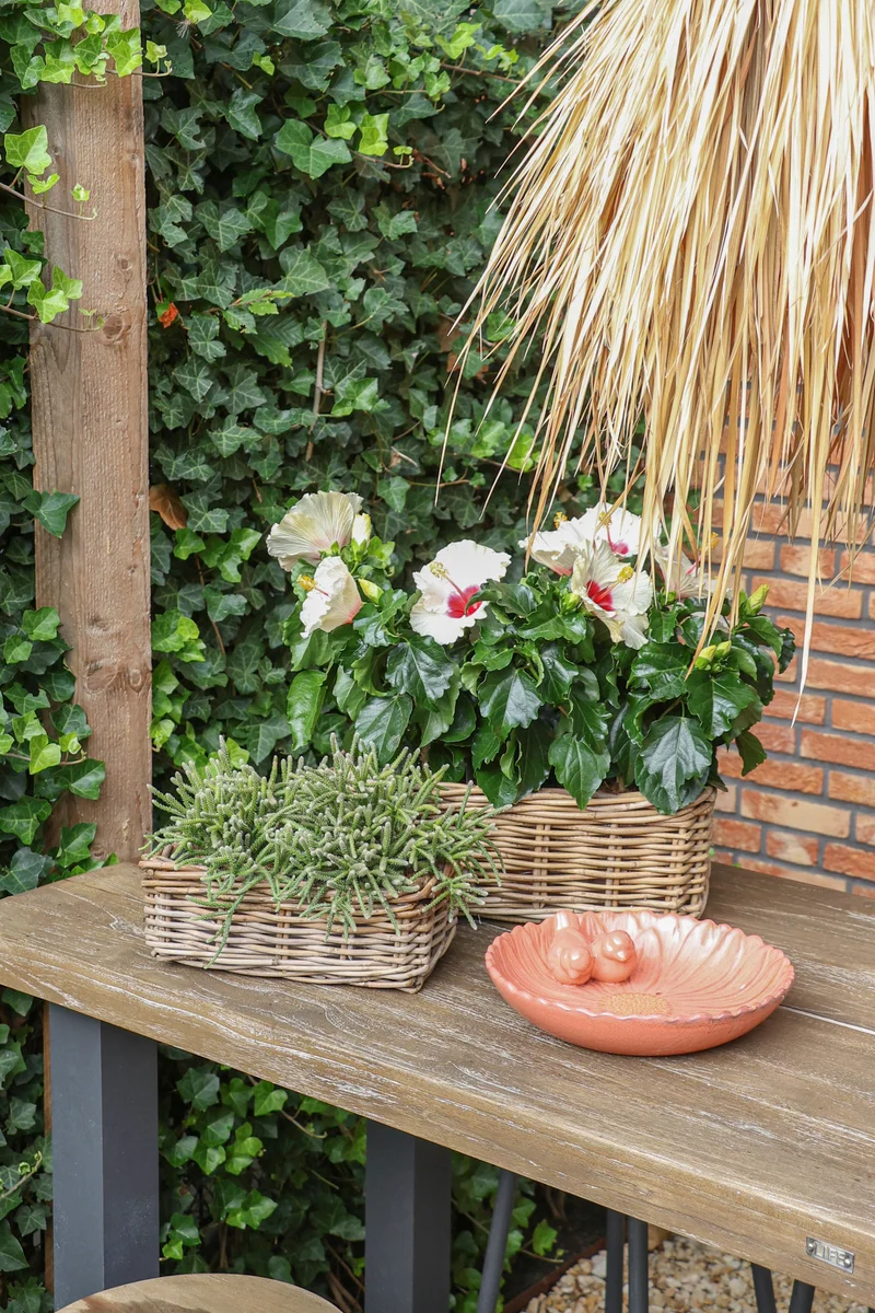 Rattan "Kubu" rechteckig natur H12xW14xL27cm