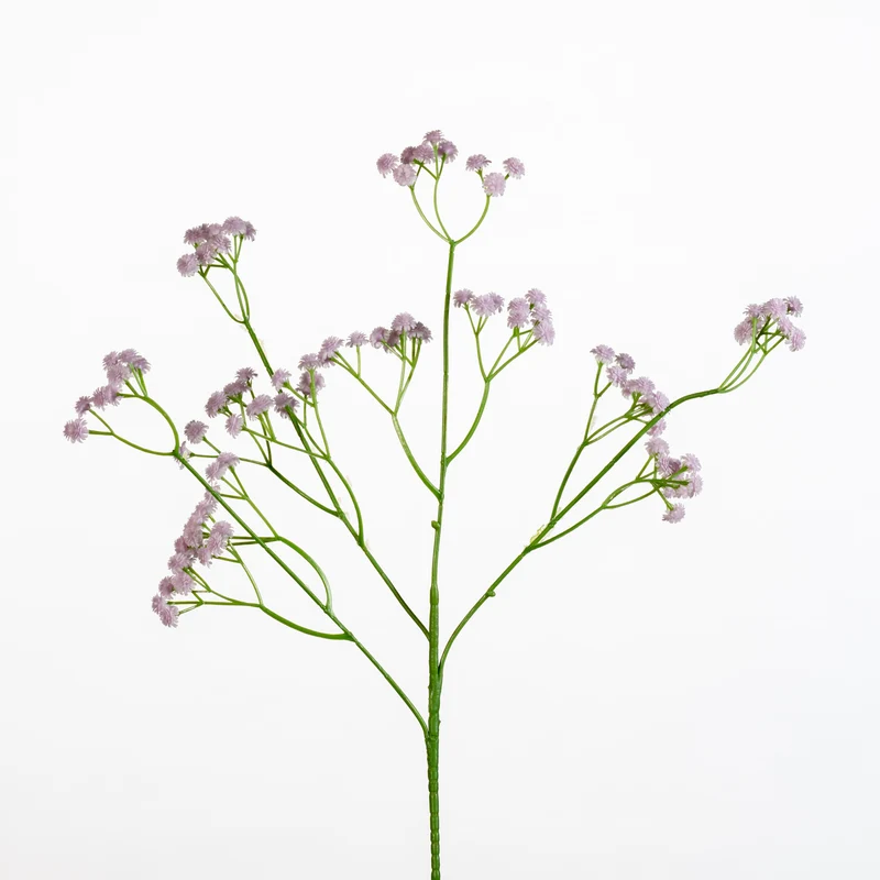 Gypsophila Spray L62cm l.flieder