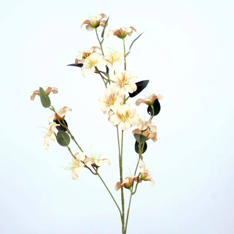 Blossom Meadow L87cm creme