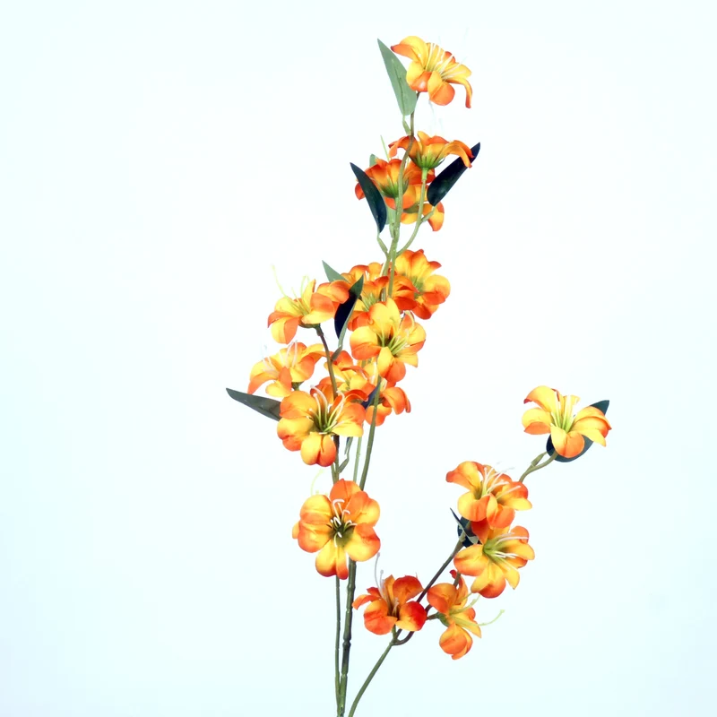 Blossom Meadow L87cm Orange