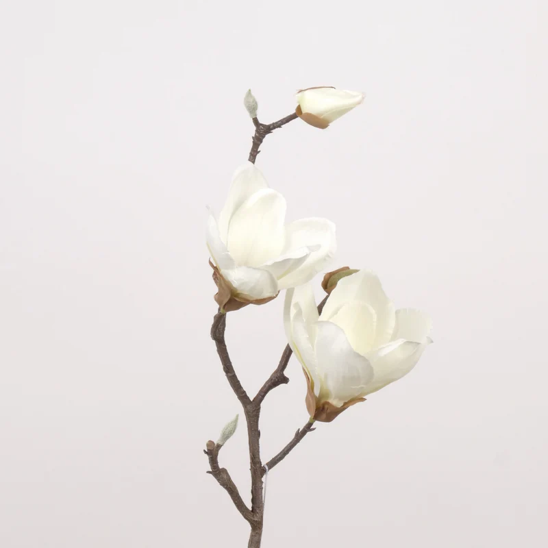 Magnolie L41cm weiß