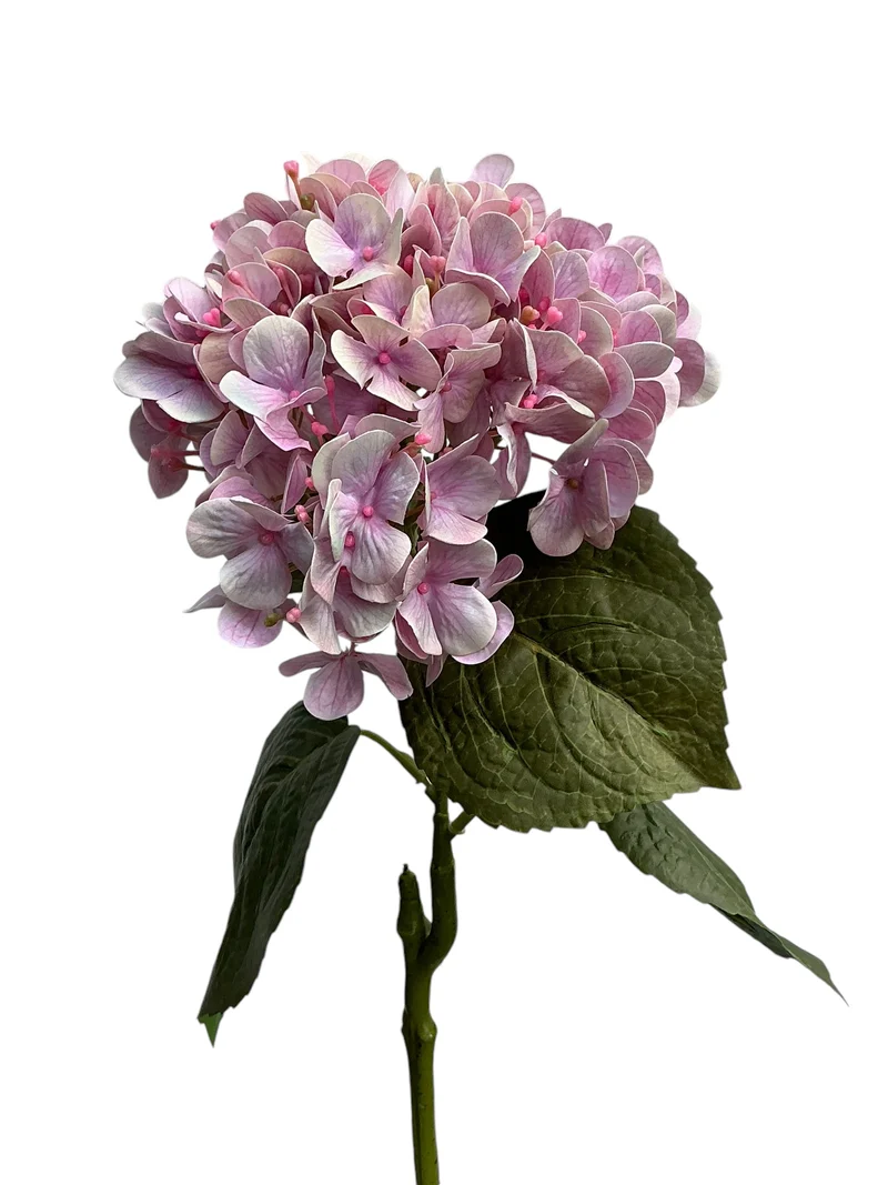 Hydrangea-Spray 75 cm, Echtfühl-Rosa