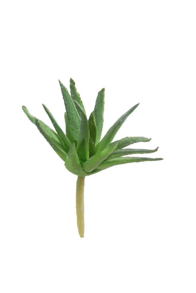 Agave Pick Mini 9cm grün