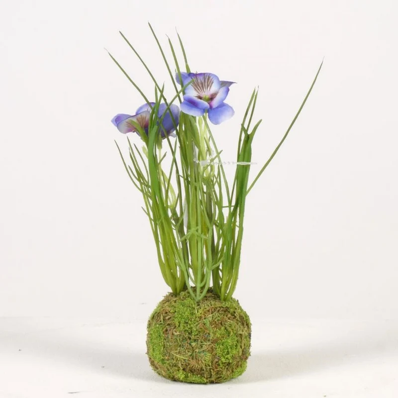Viola auf Moosball H24cm blau