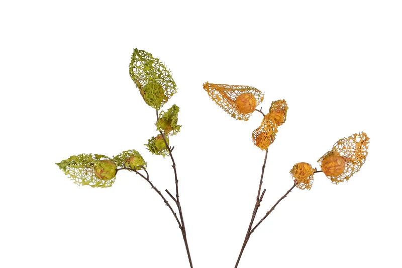 Kunstzweig "Physalis 5x" L grün/gelb 2fach sortiert Seide 75cm