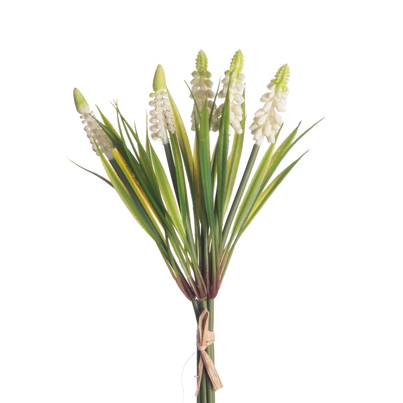 Muscari Bund x5 L28cm Weiß