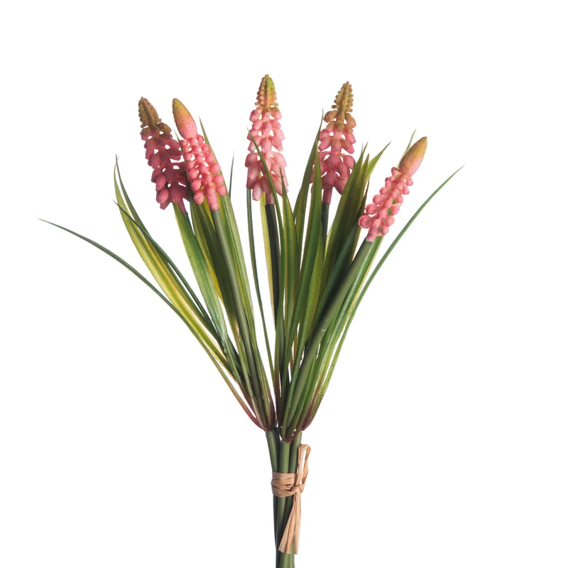 Muscari Bund x5 L28cm Rosa