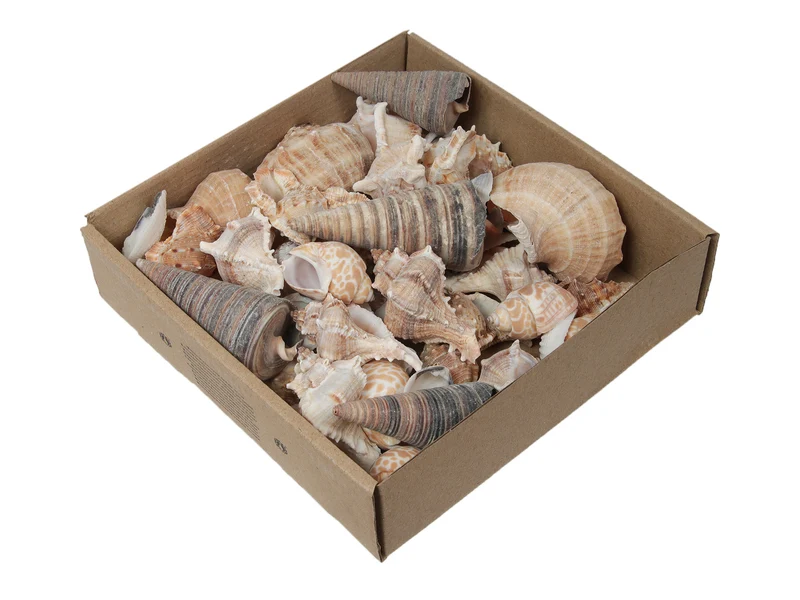 Gemischte Muscheln, Natur, 500 g.