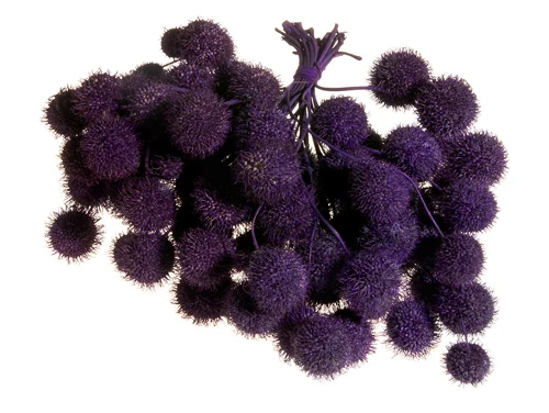Platanen-Kugeln dunkelviolett