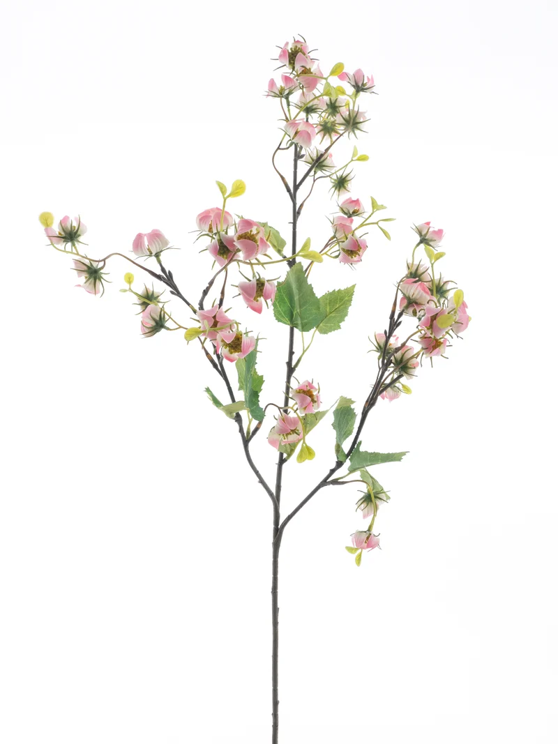 Mini Physalis Spray Rosa 92cm