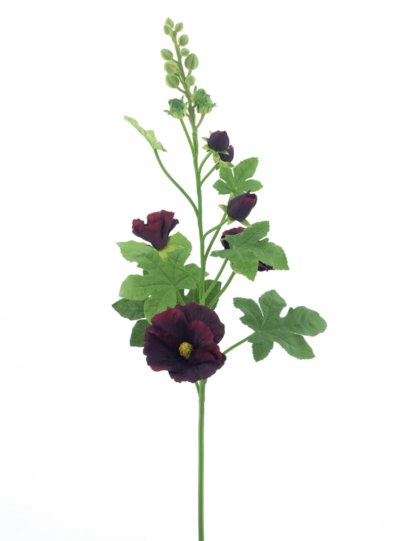 Alcea Spray Burgunder 102cm