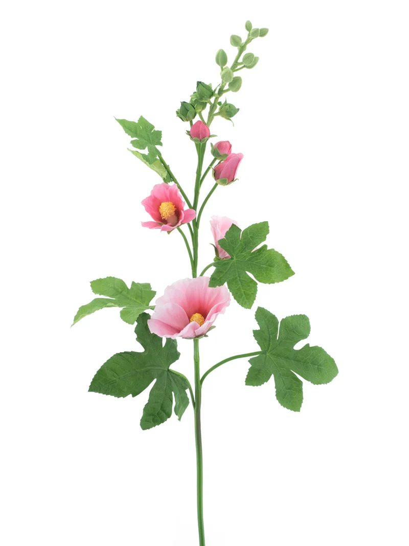 Alcea-Spray, dunkelrosa, 102 cm